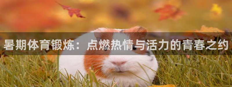 意昂5Kgame凯捷开号链接